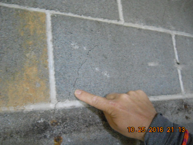 mold mitigation and waterproofing