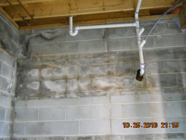 mold mitigation and waterproofing
